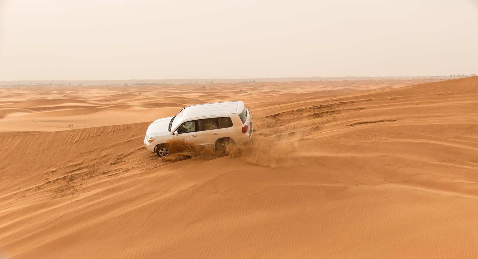 Evening Desert Safari (Basic Package) - Gulf Desert Safari